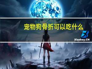 宠物狗骨折可以吃什么