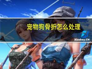 宠物狗骨折怎么处理