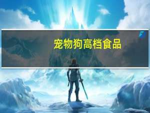宠物狗高档食品