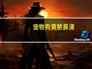 宠物狗黄脓鼻涕