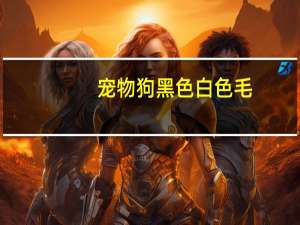 宠物狗黑色白色毛
