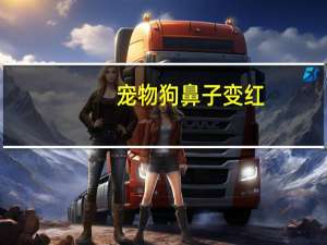 宠物狗鼻子变红