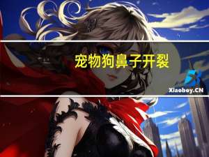 宠物狗鼻子开裂