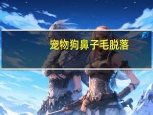 宠物狗鼻子毛脱落