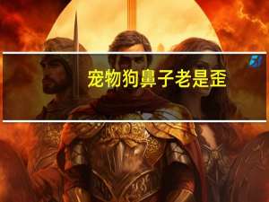 宠物狗鼻子老是歪