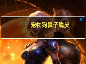 宠物狗鼻子脱皮