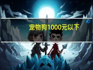 宠物狗1000元以下