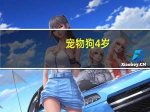 宠物狗4岁