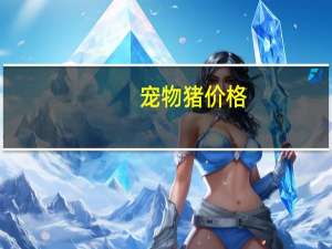 宠物猪价格
