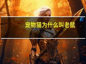 宠物猫为什么叫老鼠