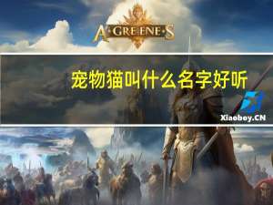 宠物猫叫什么名字好听