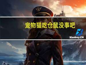 宠物猫吃仓鼠没事吧