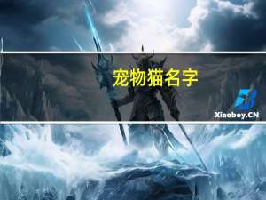 宠物猫名字