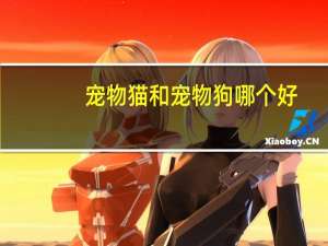 宠物猫和宠物狗哪个好