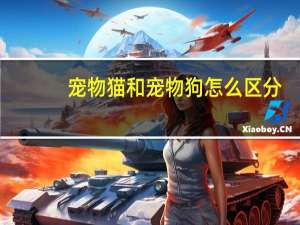 宠物猫和宠物狗怎么区分