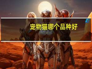 宠物猫哪个品种好