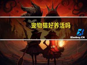 宠物猫好养活吗