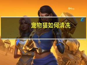 宠物猫如何清冼