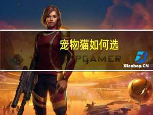宠物猫如何选