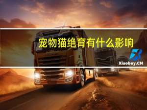 宠物猫绝育有什么影响