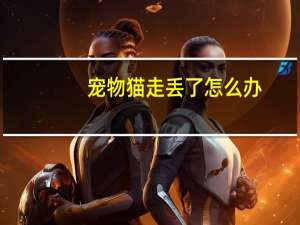 宠物猫走丢了怎么办