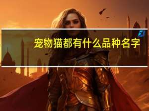 宠物猫都有什么品种名字