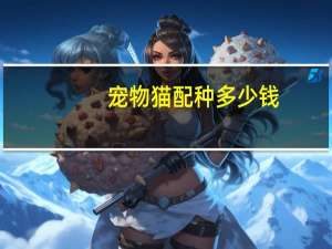 宠物猫配种多少钱