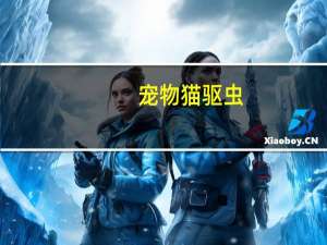 宠物猫驱虫