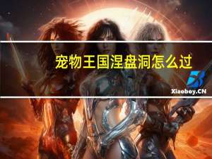 宠物王国涅盘洞怎么过