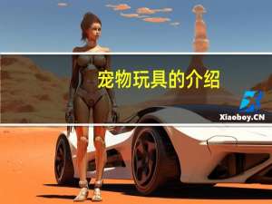 宠物玩具的介绍