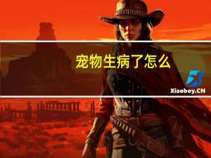宠物生病了怎么