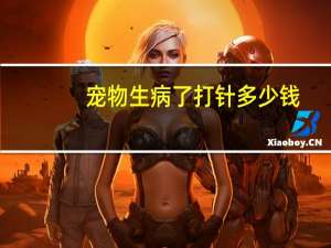 宠物生病了打针多少钱