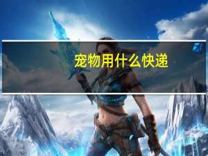 宠物用什么快递