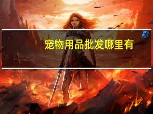 宠物用品批发哪里有