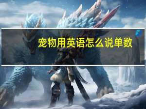 宠物用英语怎么说单数