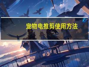 宠物电推剪使用方法