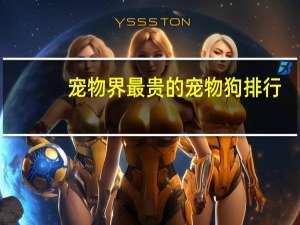 宠物界最贵的宠物狗排行