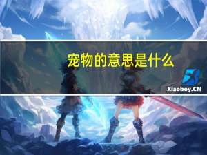 宠物的意思是什么