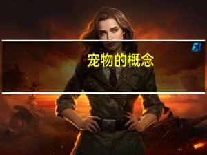 宠物的概念