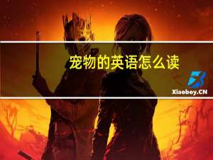 宠物的英语怎么读
