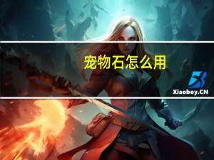 宠物石怎么用