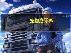 宠物磨牙棒