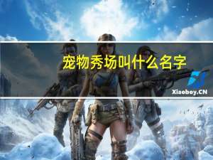 宠物秀场叫什么名字