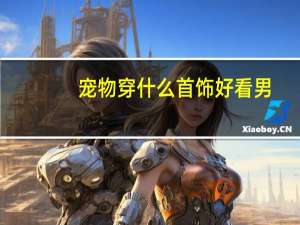 宠物穿什么首饰好看男