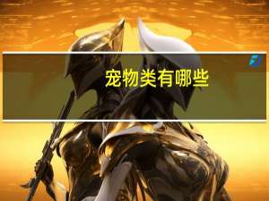 宠物类有哪些