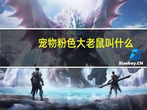 宠物粉色大老鼠叫什么
