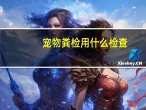 宠物粪检用什么检查