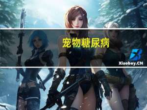 宠物糖尿病