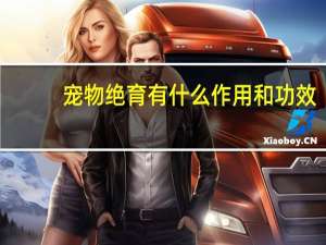 宠物绝育有什么作用和功效