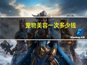 宠物美容一次多少钱